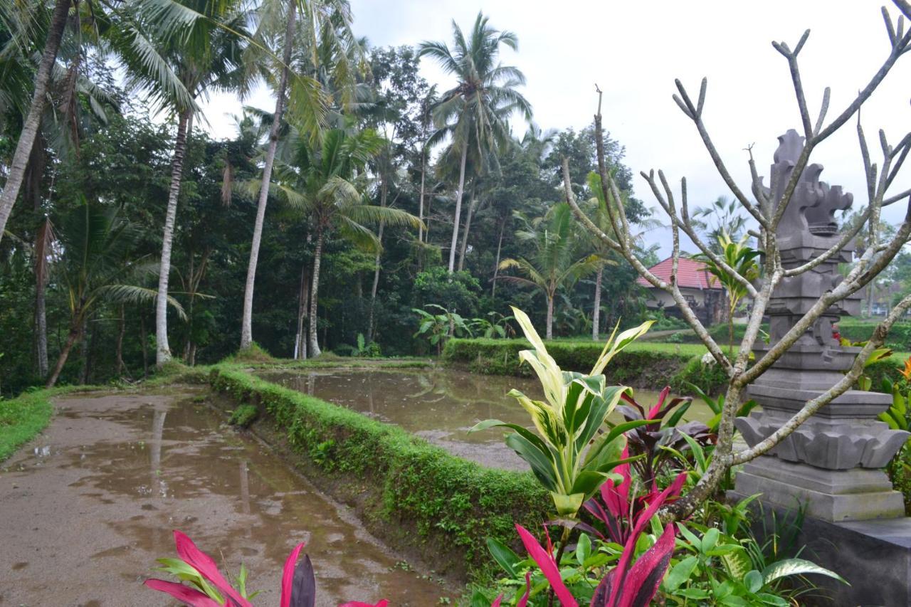 Buda Cottage Ubud Exterior photo